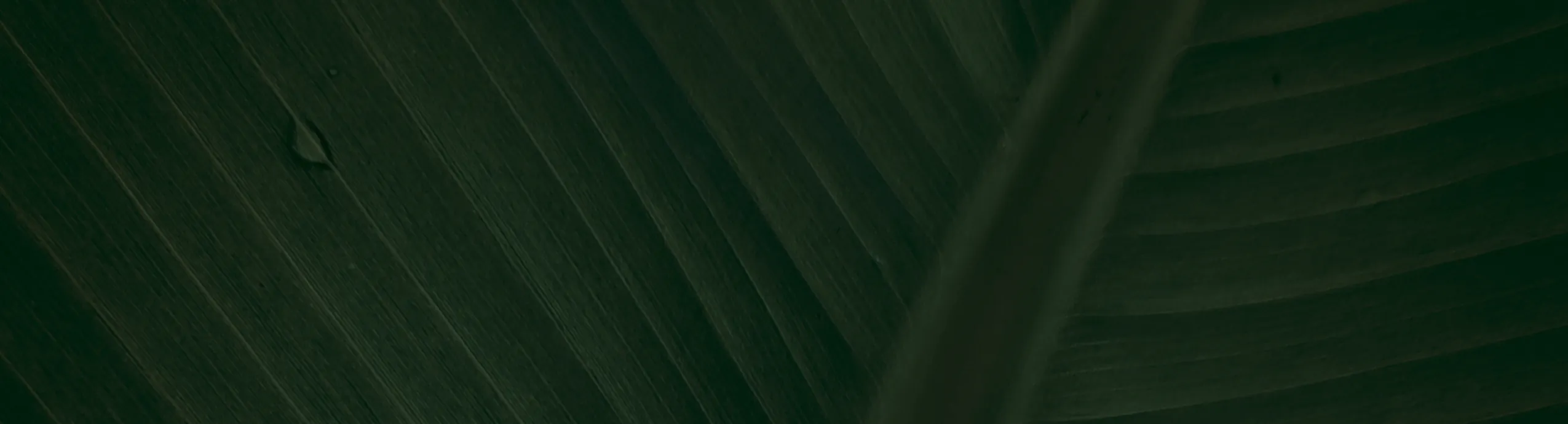 hero-image_optimized Big love