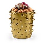 PHOTOPHORE PIQUES OR