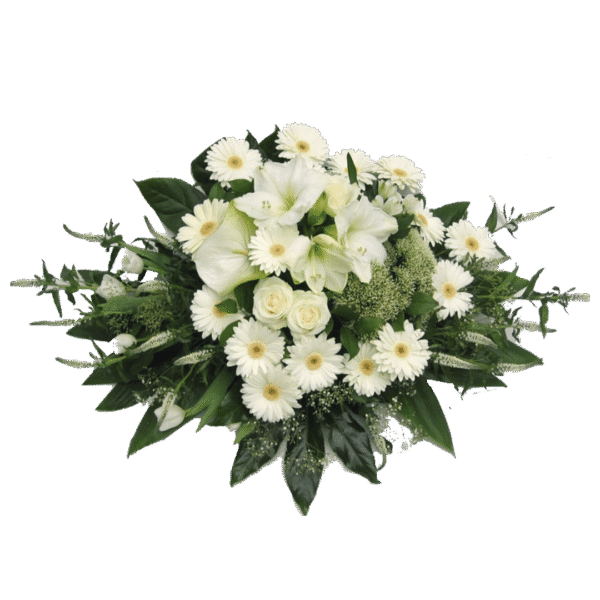 Black-and-Green-SEO-Marketing-Infographic-Instagram-Post-12 Pure light