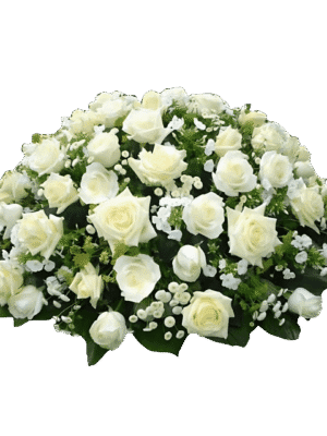 Black-and-Green-SEO-Marketing-Infographic-Instagram-Post-15 Cristal