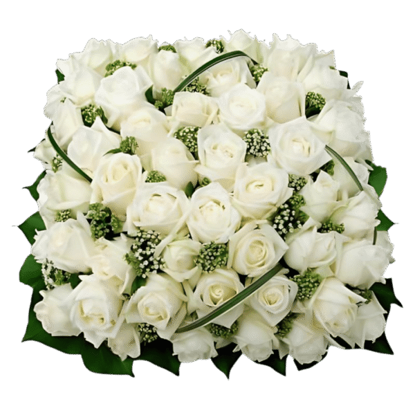 Black-and-Green-SEO-Marketing-Infographic-Instagram-Post-16 Pure