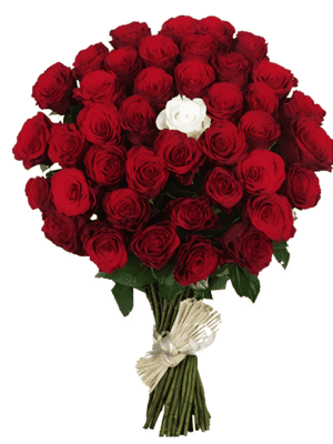 Untitled-design-2 Just 4 You vs