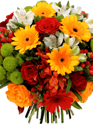 Fleurs Marrakech, Ereka Fleuriste