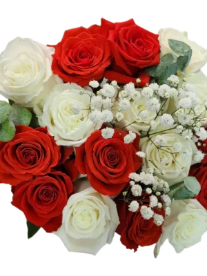 image Chic & raffiné