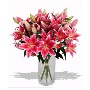 Pink Lilies