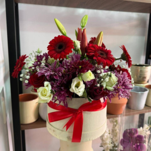 Aurore de Velours – Harmonie Rouge et Violette