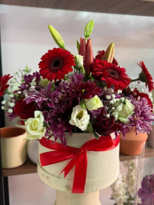 Aurore de Velours – Harmonie Rouge et Violette