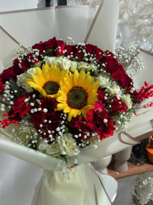 Éclat Solaire Éclat Solaire