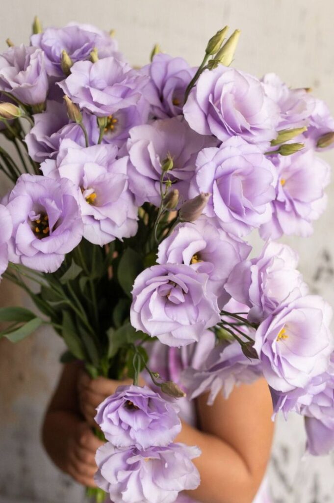 Le Lisianthus, Ereka fleuriste Marrakech